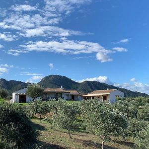 Macciuneddu Country Retreat